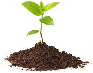 Lydie Renckly Naturopathe